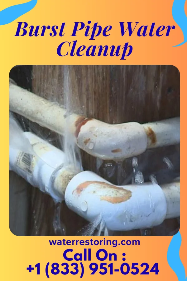 Burst Pipe Water Cleanup in Bloomingdale, NJ