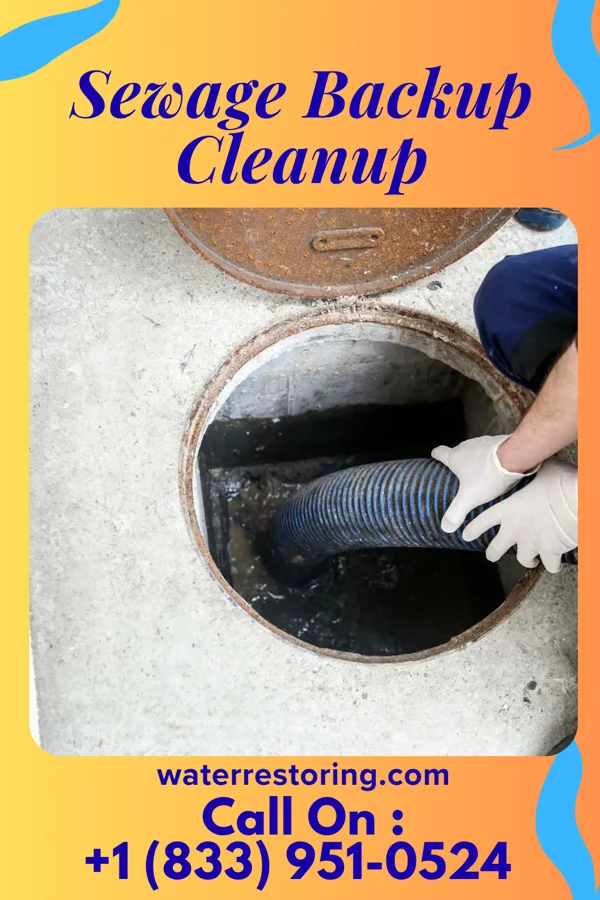 Sewage Backup Cleanup in Bloomingdale, NJ