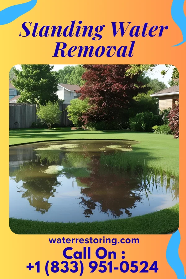 Standing Water Removal in Bloomingdale, NJ